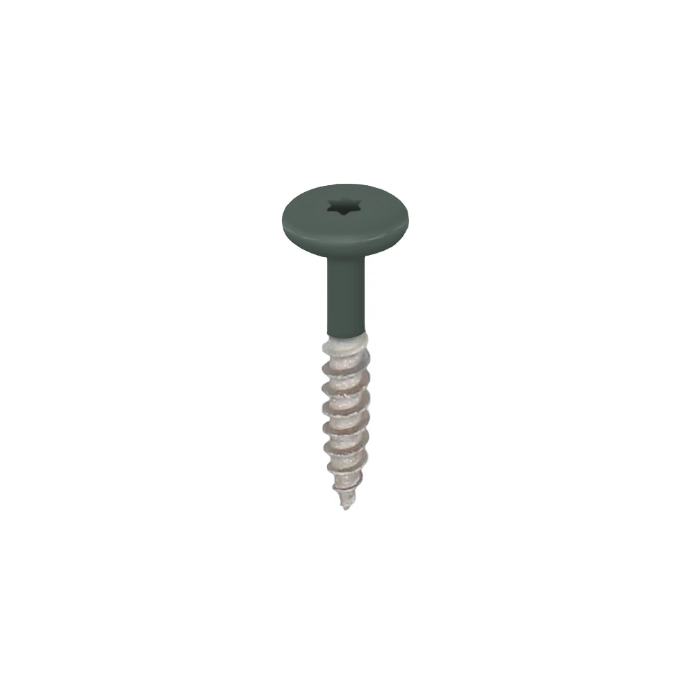 RVS torxschroef 32 mm 100 stuks