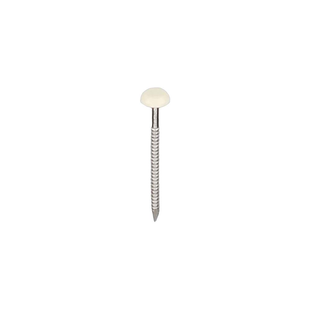 RVS polytop spijker 30 mm 250 stuks