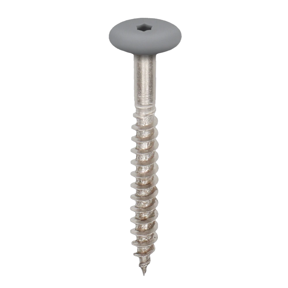 RVS torxschroef 5,5 x 45 mm 100 stuks